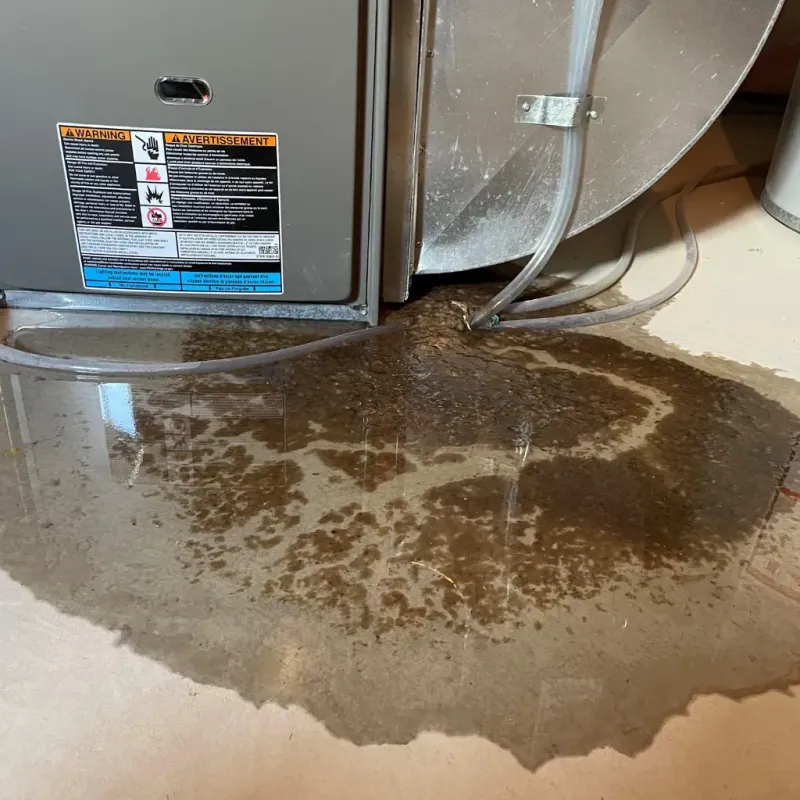 Appliance Leak Cleanup in Pownal, VT